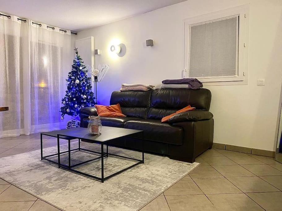 Joli T2 Dans Annecy Apartment Bagian luar foto